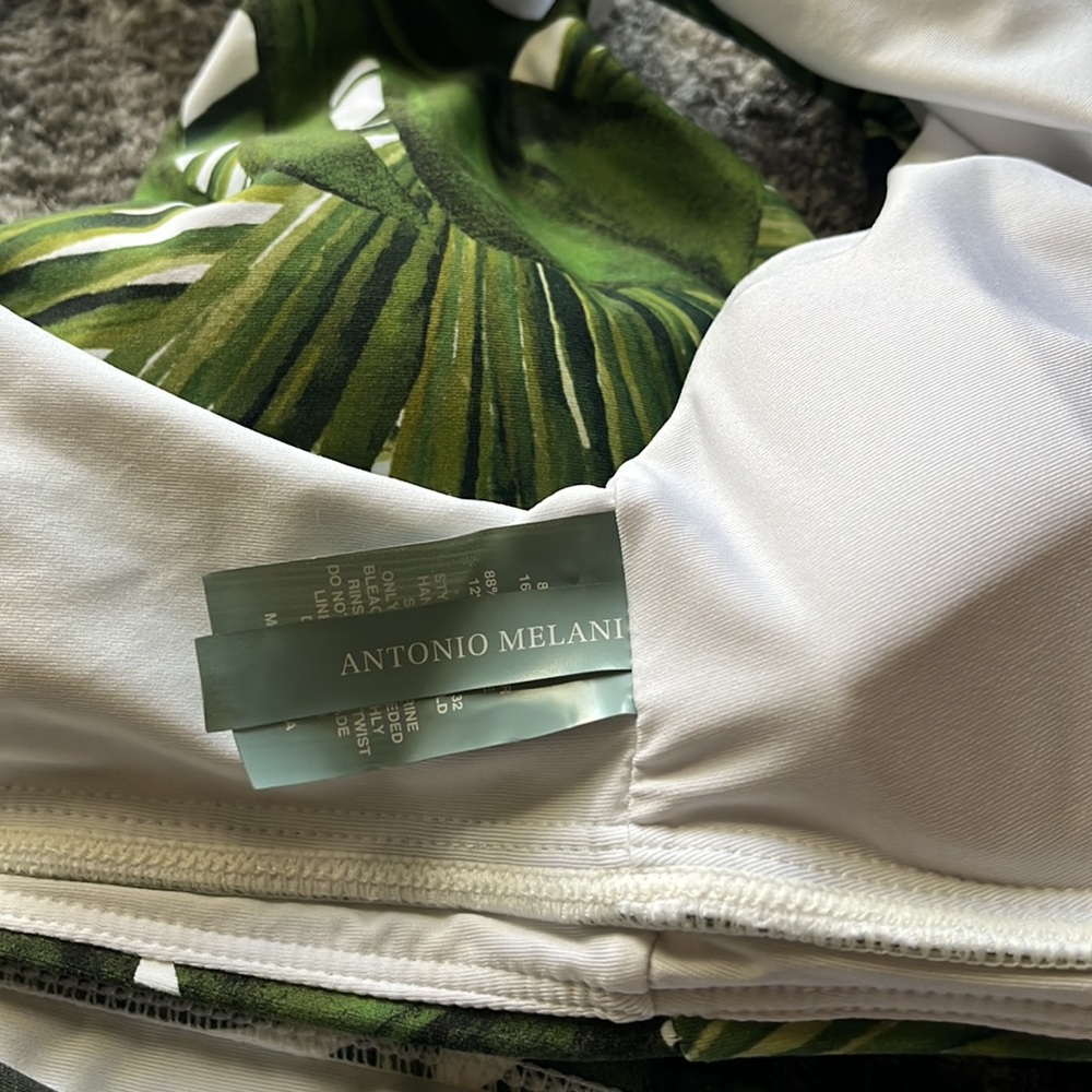 Monstera bikini - Picture 4 of 4